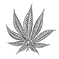 Hash Marihuana & Hemp Museum logo, Hash Marihuana & Hemp Museum contact details