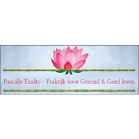 Pascalle Exalto - Praktijk voor Gezond & Goed Leven logo, Pascalle Exalto - Praktijk voor Gezond & Goed Leven contact details