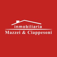 Mazzei & Ciappesoni logo, Mazzei & Ciappesoni contact details