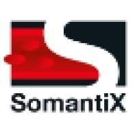 SomantiX BV logo, SomantiX BV contact details