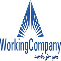 WorkingCompany BV logo, WorkingCompany BV contact details