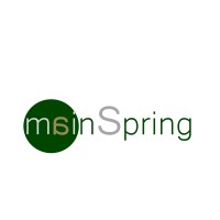 mainSpring Partners SL logo, mainSpring Partners SL contact details