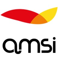 Amsi Integral S.L. logo, Amsi Integral S.L. contact details