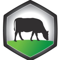 Easy Silage logo, Easy Silage contact details