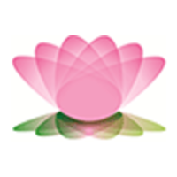 Lotus Child logo, Lotus Child contact details