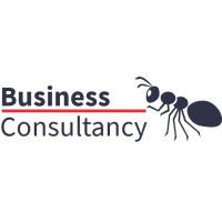 The BusinessAnt Consultancy logo, The BusinessAnt Consultancy contact details