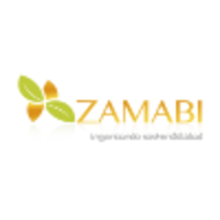 Zamabi Consultores logo, Zamabi Consultores contact details