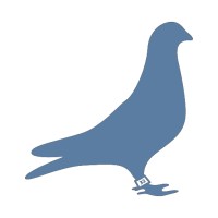 pigeons.in.ua logo, pigeons.in.ua contact details