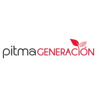 Pitma Generación logo, Pitma Generación contact details