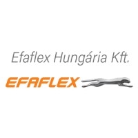 EFAFLEX Hungária Kft. logo, EFAFLEX Hungária Kft. contact details