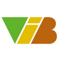 VIB Consulting logo, VIB Consulting contact details