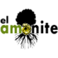 El Amonite logo, El Amonite contact details