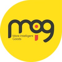 MIG Spain / MIG Shanghai logo, MIG Spain / MIG Shanghai contact details