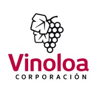 Corporación Vinoloa logo, Corporación Vinoloa contact details