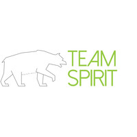 Teamspirit ICT voor het MKB! logo, Teamspirit ICT voor het MKB! contact details