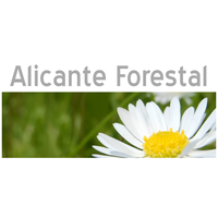 Alicante Forestal logo, Alicante Forestal contact details