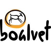 Boalvet AI logo, Boalvet AI contact details