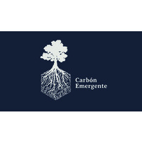 Carbón Emergente logo, Carbón Emergente contact details