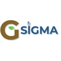 GSIGMA ASESORES logo, GSIGMA ASESORES contact details