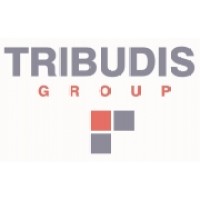 Tribudis Group S.L logo, Tribudis Group S.L contact details