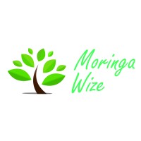 Moringa Wize BV logo, Moringa Wize BV contact details