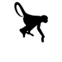 The Fearless Monkey logo, The Fearless Monkey contact details