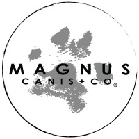 MAGNUS Canis + Co. logo, MAGNUS Canis + Co. contact details