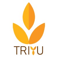 TRIYU GAMES logo, TRIYU GAMES contact details