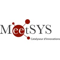 MeetSYS SAS logo, MeetSYS SAS contact details