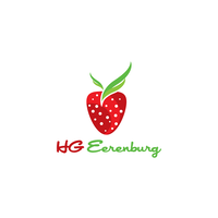 HG Eerenburg BV logo, HG Eerenburg BV contact details