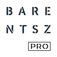 Barentsz Professionals logo, Barentsz Professionals contact details