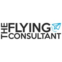 The Flying Consultant logo, The Flying Consultant contact details