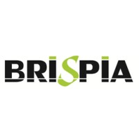 BRISPIA CONSULTING SL logo, BRISPIA CONSULTING SL contact details