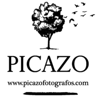 Picazo Fotógrafos logo, Picazo Fotógrafos contact details