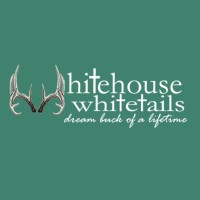 Whitehouse Whitetails logo, Whitehouse Whitetails contact details