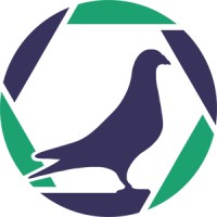 PigeonPhotography logo, PigeonPhotography contact details