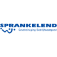 Sprankelend Gevelreiniging B.V. logo, Sprankelend Gevelreiniging B.V. contact details