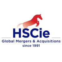 Hübner Schlösser & Cie - Global M&A logo, Hübner Schlösser & Cie - Global M&A contact details