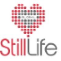 STILL LIFE GLOBAL LTD logo, STILL LIFE GLOBAL LTD contact details