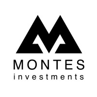 Montes Investments logo, Montes Investments contact details