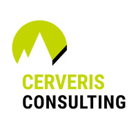 Cerveris Consulting logo, Cerveris Consulting contact details