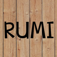 Rumi Perú logo, Rumi Perú contact details