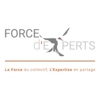 Force d'Experts logo, Force d'Experts contact details