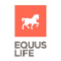 EQUUS LIFE S.L. logo, EQUUS LIFE S.L. contact details