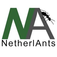 NetherlAnts logo, NetherlAnts contact details