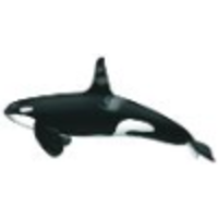 orca maritiem logo, orca maritiem contact details