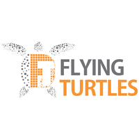 Flying Turtles logo, Flying Turtles contact details