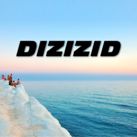 Dizizid logo, Dizizid contact details