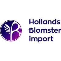 Hollands Blomsterimport bv logo, Hollands Blomsterimport bv contact details