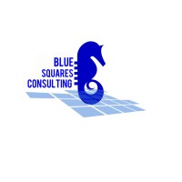 Blue Squares Consulting logo, Blue Squares Consulting contact details